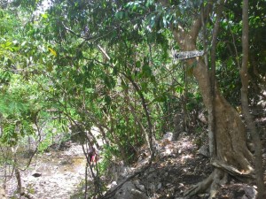 This dirt trail located several meters from the entrance of Puting Buhangin Beach Resort might prove to be a bit of a challenge to navigate through, but with the right bike and some biking experience, this could be a fun and exciting ride.